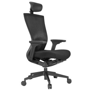 Cadeira Ergon&oacute;mica